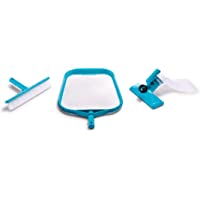 Intex 29056 - Kit de limpieza básico recoge hojas- cepillo y cabezal